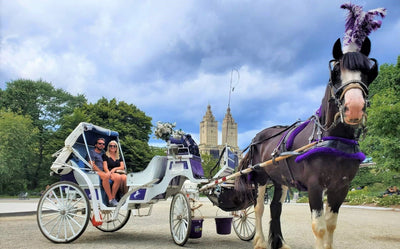 Official Central Park Horse Carriage Rides
