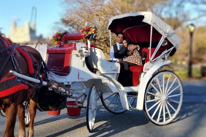 Central Park Horse Carriage Rides