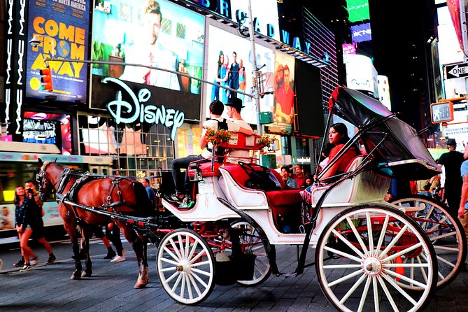 Christmas Horse Carriage Tour