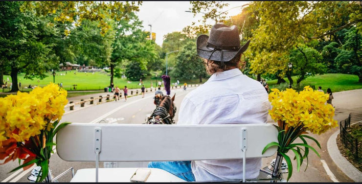 Official Guided Central Park Horse Carriage Rides