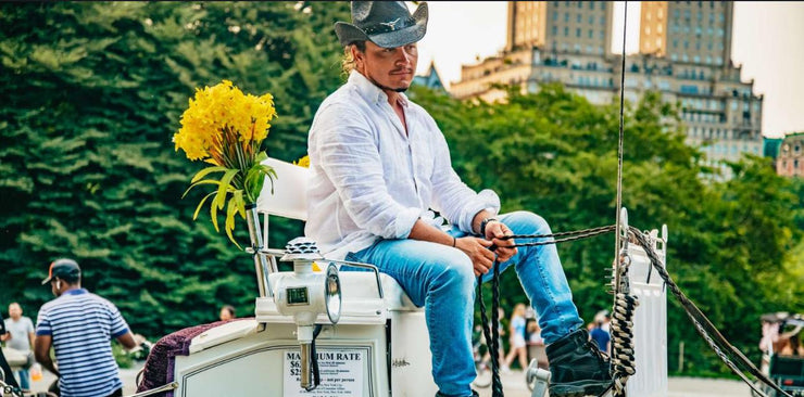 Official Guided Central Park Horse Carriage Rides