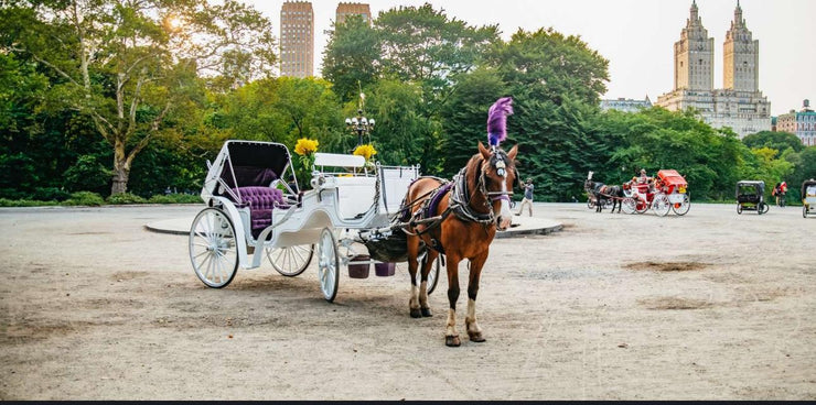 Official Guided Central Park Horse Carriage Rides