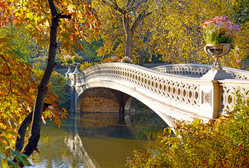 Bow Bridge in Central Park New York City