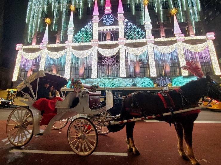 Christmas Horse Carriage Tour
