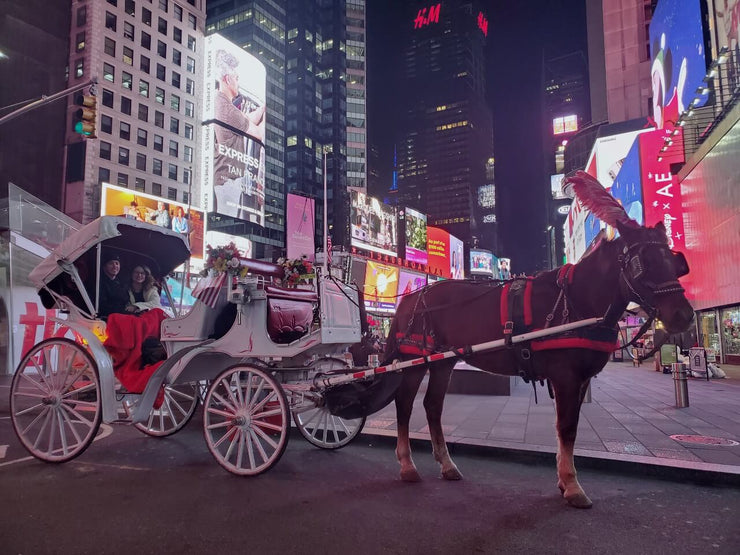 Christmas Horse Carriage Tour