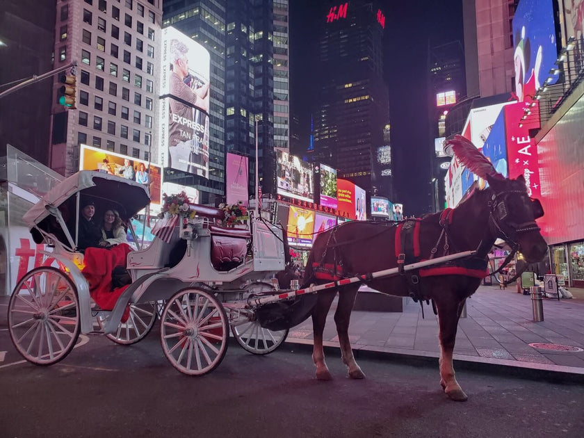 Horse Carriage Rides in New York City – NYC Fancy Rides