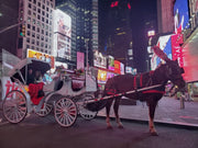 Official Central Park and City Carriage Rides