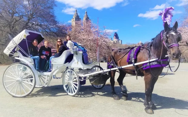 Horse Carriage with Happy Customers in Central Park New York