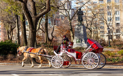 Horse Carriage in Central Park New York in Autumn